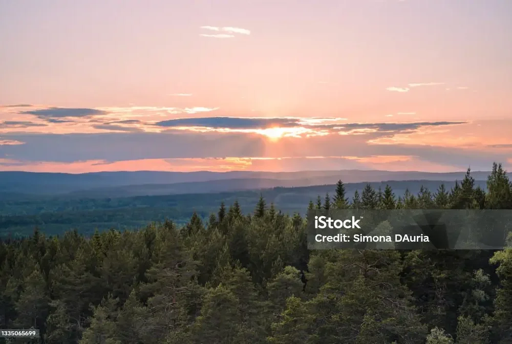 istockphoto-1335065699-1024x1024